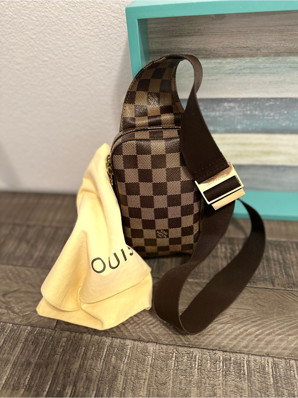 Louis Vuitton belt bag